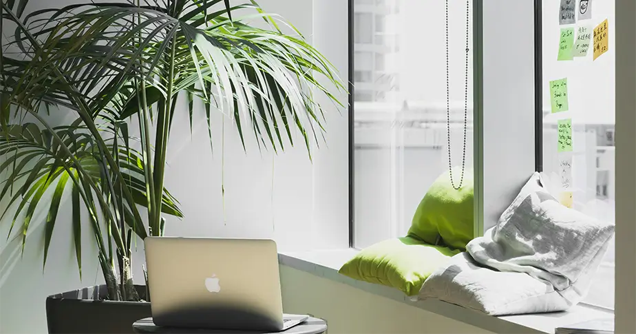 Shopify rechtssicher machen: DSGVO-konform in nur 10 Minuten - 5 einfache Schritte für deinen Shop